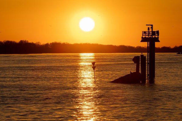 Willkommen im Frühling: Am Donnerstag ist es bei Sonnenschein soweit. - © Bodo Marks/dpa