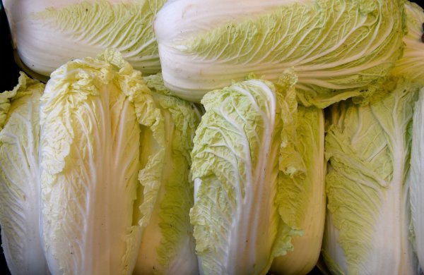 Chinakohl - © Foto: Holger Hollemann/dpa