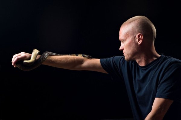 Der von Schlangen begeisterte US-Amerikaner Tim Friede hat sich selbst immer größere Dosierungen von Schlangengiften verabreicht und kann nun einfach so eine Wasserkobra auf dem Arm tragen. - © ---/Centivax/dpa