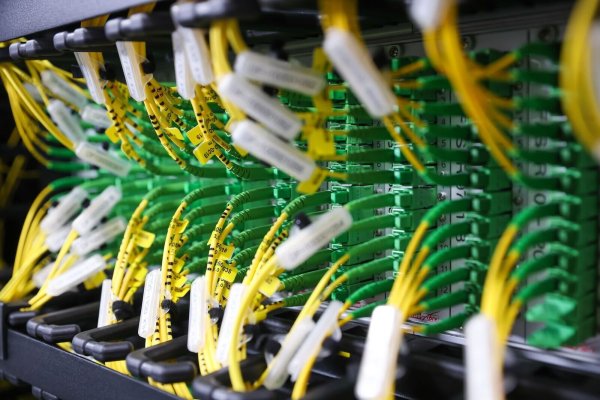 Der internationale Internetverkehr ist im vergangenen Jahr deutlich angestiegen - © Jan Woitas/dpa