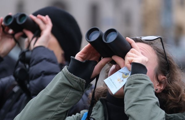 Bei der «Stunde der Wintervögel» können Bürgerinnen und Bürger wieder eine Stunde lang Vögel beobachten. - © Sebastian Willnow/dpa