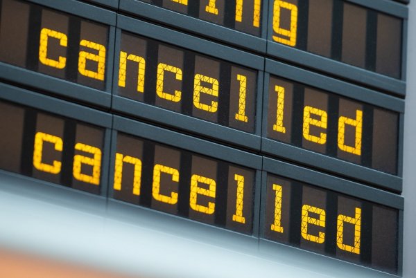 Eine dänische Regional-Airline soll einem Hund Entschädigung zahlen - wegen eines ausgefallenen Kurzstreckenflugs. - © Christophe Gateau/dpa/dpa-tmn