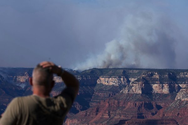 Der Grand-Canyon-Nationalpark an der US-Westküste ist bei Touristen beliebt. - © Jon Gambrell/AP/dpa