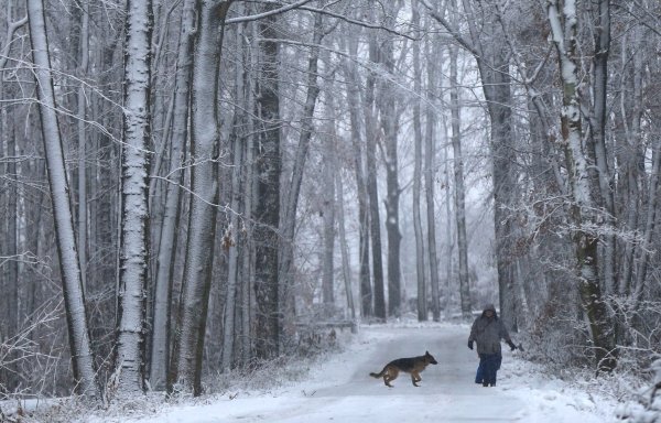 In Teilen von Nordrhein-Westfalen hat es heftig geschneit. Die Experten von Wald und Forst warnen jetzt vor Spaziergängen in den Wäldern, da Äste wegen der Last brechen können. (Archivbild) - © picture alliance / dpa