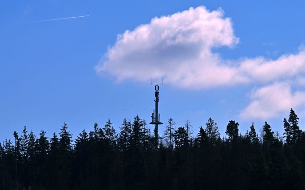 Hier gibt es Handynetz - anderswo fehlen hingegen noch Mobilfunkmasten im Wald, an Wiesen oder an Bauernhöfen. (Symbolbild) - © Martin Schutt/dpa