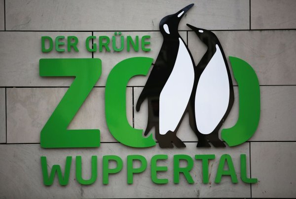 Ein Logo des Zoos Wuppertal. - © Oliver Berg/dpa