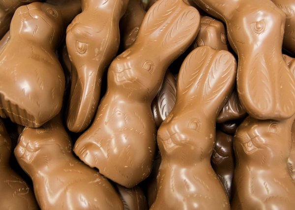 Schokoladen-Hasen liegen in einer Box - bereit, an Ostern versteckt zu werden. - © Lino Mirgeler/dpa