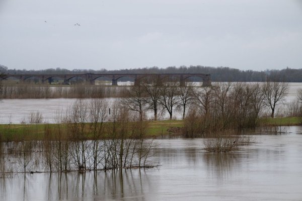 Der Rhein in der Nähe von Wesel überflutet nach den Regenfällen die Wiesen am Ufer. - © Henning Kaiser/dpa