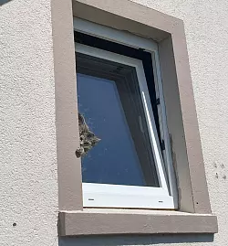 Fest verklemmt konnte das Tier weder vor noch zurück und rutschte immer enger in den Spalt. - © Feuerwehr Lage