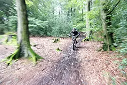 - &copy; Archivfoto: Koch