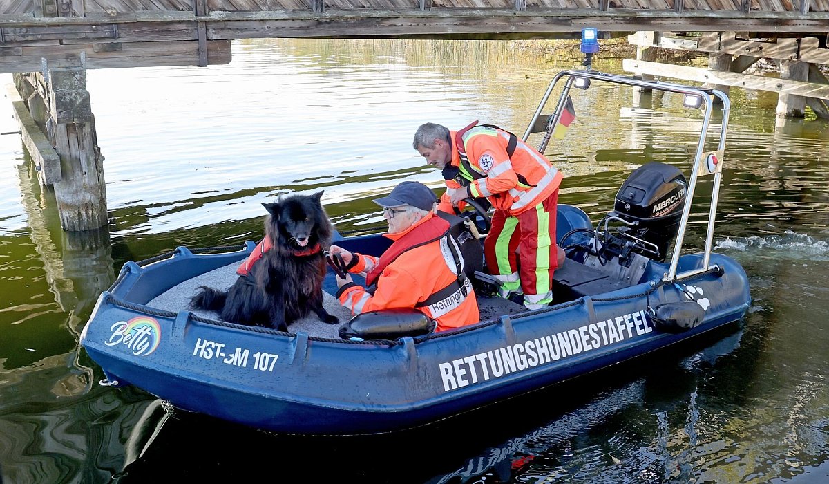 Suche nach vermisstem Achtjährigen mit Suchhund - Bernd Wüstneck/dpa