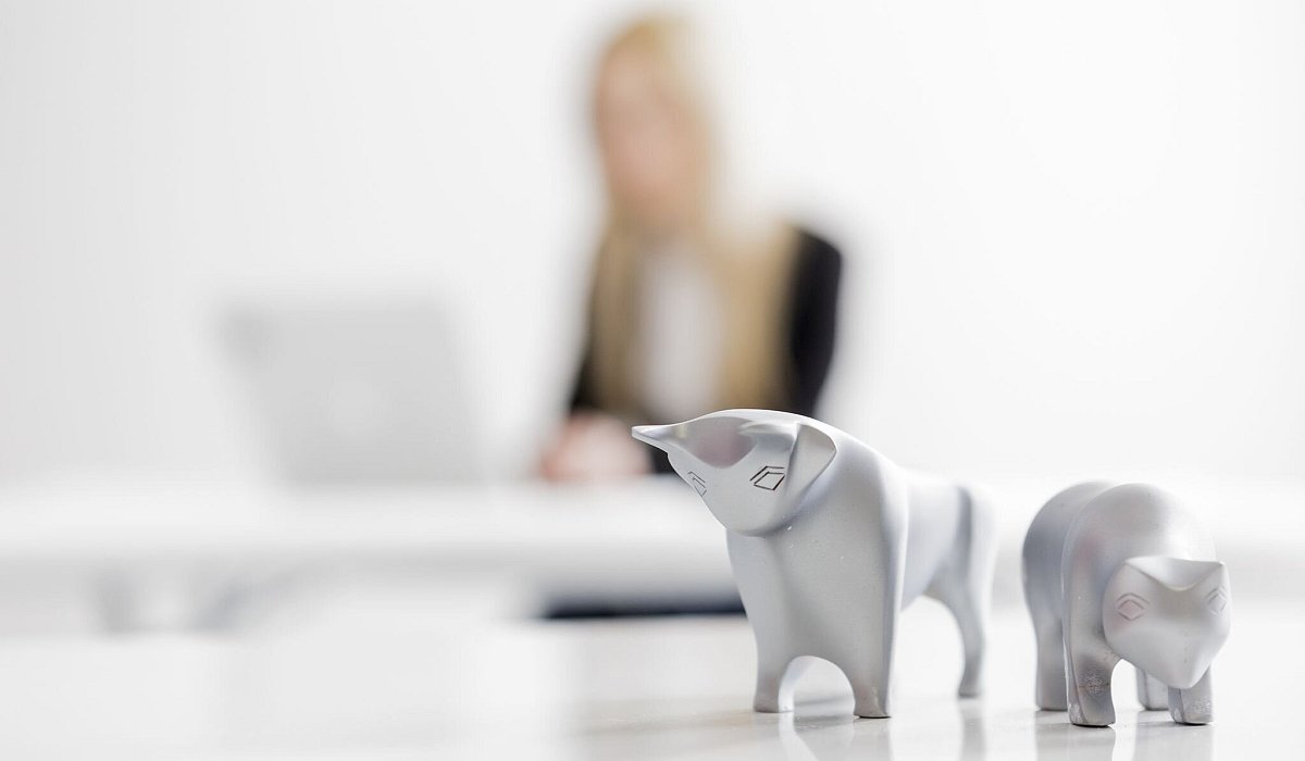 Bulle und B&auml;r - picture alliance / Monique W&uuml;stenhagen/dpa-tmn