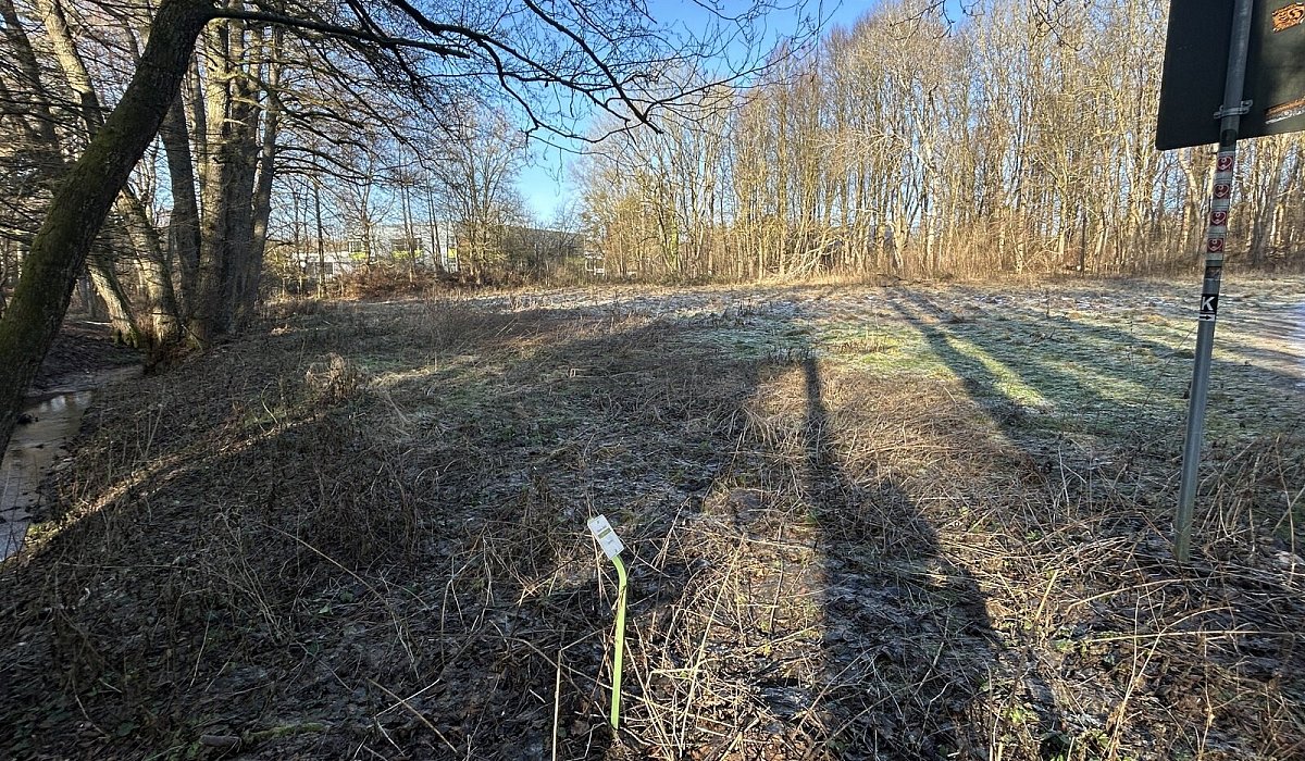 hbm-mogliche-hundewiese-4 - Cordula Gr&ouml;ne