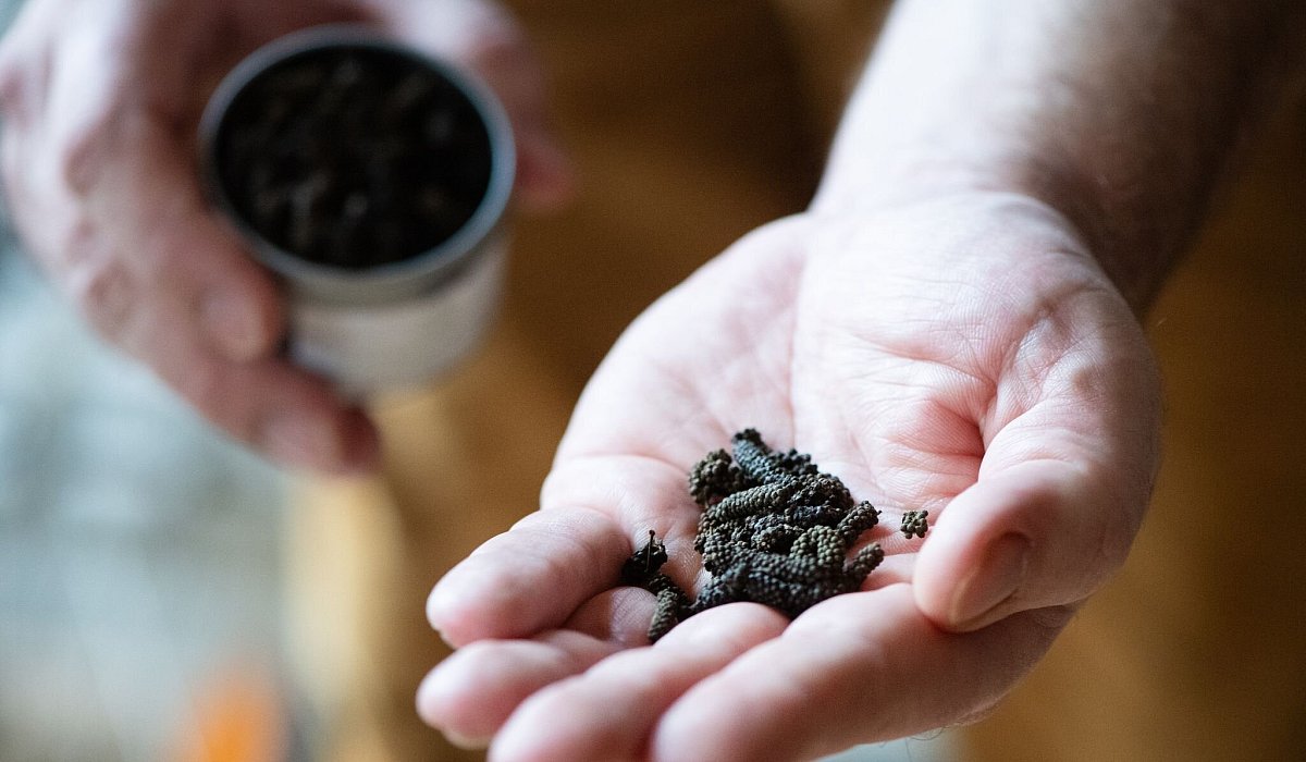 Mann hält Schokoladenpfeffer in der Hand - Franziska Gabbert/dpa-tmn