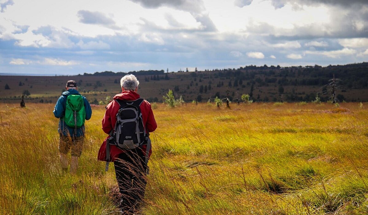 Wanderer im Hochmoor - Deike Uhtenwoldt/dpa-tmn