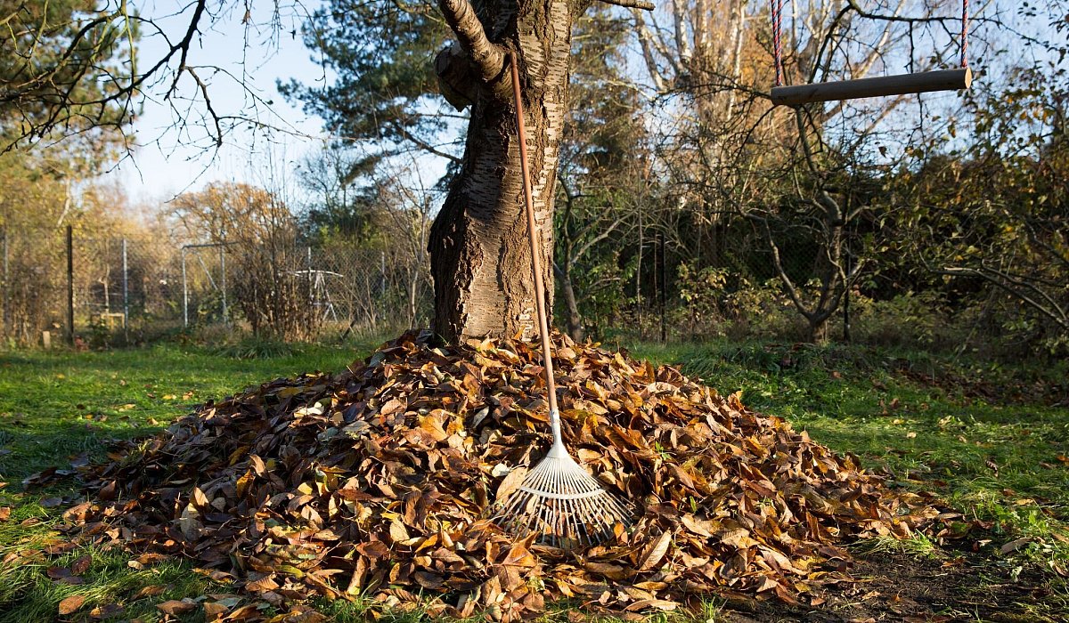 Aufgeschichtetes Laub in einem Garten - Florian Schuh/dpa-tmn