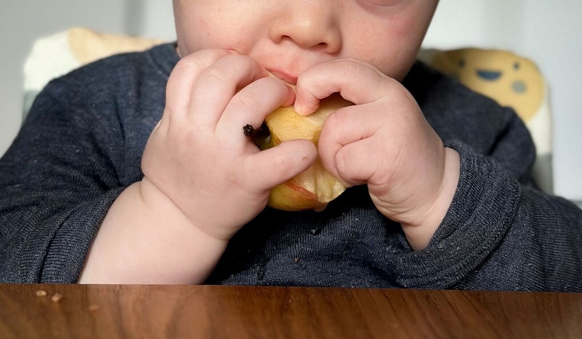 Ein sieben Monate altes Babz isst einen Apfel - Zacharie Scheurer/dpa-tmn