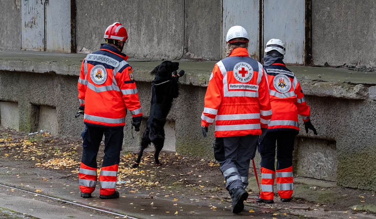 Fortsetzung der Suche nach Achtjährigem aus Güstrow - Stefan Sauer/dpa