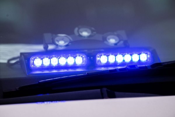 Ein Blaulicht leuchtet unter der Frontscheibe eines Einsatzfahrzeugs der Polizei. - © Lino Mirgeler/dpa/Symbolbild