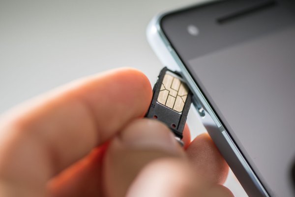 Gefummel mit Träger und Karte: Wer hier nicht genau aufpasst, macht schnell etwas kaputt. - © Franziska Gabbert/dpa-tmn/dpa