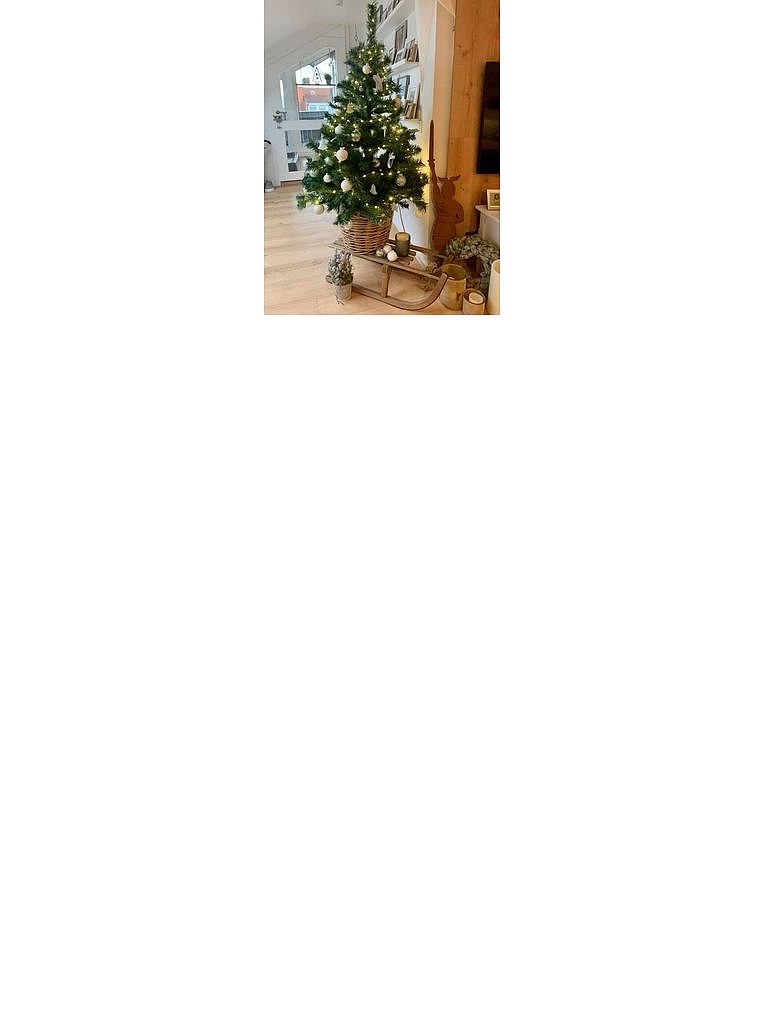 Weihnachtsbäume in Lippe