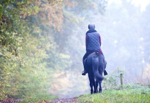 Reiten nach längerer Pause - © Foto: Christin Klose/dpa-tmn