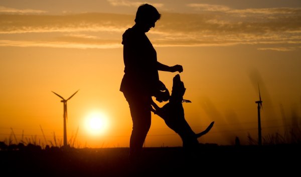 Frau und Hund - © Foto: Julian Stratenschulte