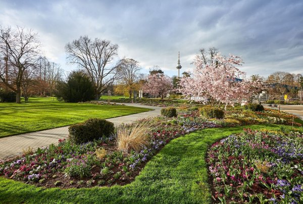 Im Luisenpark blüht es: Er wurde für die Buga23 noch einmal aufgewertet. - © Daniel Lukac/BUGA /dpa-tmn