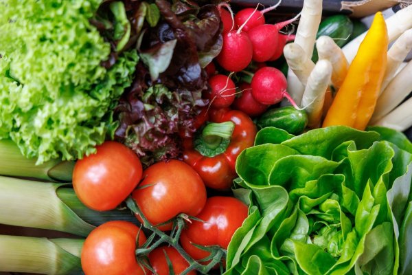 Der Bundestag befasst sich in seiner 102. Sitzung mit der Einsetzung eines Bürgerrates zum Schwerpunkt «Ernährung im Wandel: Zwischen Privatangelegenheit und staatlichen Aufgaben». - © Daniel Karmann/dpa