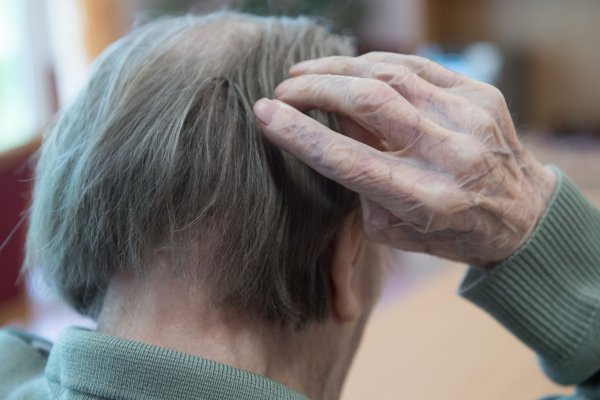 In Deutschland steigt die Zahl der Männer, die an Demenz sterben. (Symbolbild) - © Sebastian Kahnert/dpa-Zentralbild/dpa