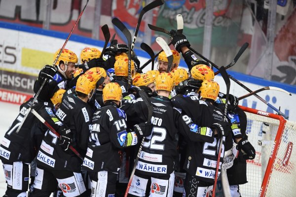 Die Fischtown Pinguins stehen im DEL-Finale. - © Carmen Jaspersen/dpa