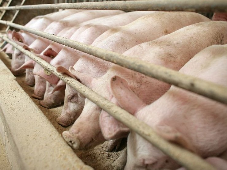 - © SYMBOLFOTO: DPA