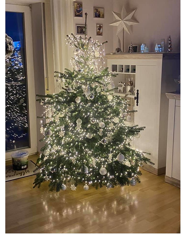 Weihnachtsbäume in Lippe