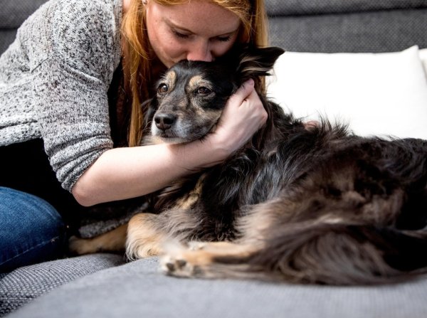 Eine Frau schmust mit einem Hund - © Foto: Christin Klose/dpa-tmn
