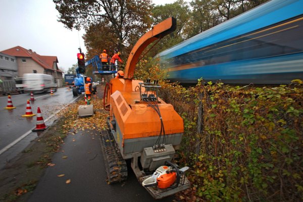 Fällarbeiten: Die Firma Brunnenkref ist für die Arbeiten an der L237 verantwortlich. - © Vera Gerstendorf-Welle