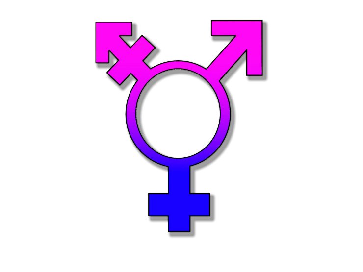 Die Kombination aus Venus- und Marssymbol mit einem zusätzlichen „Arm“ wird als Geschlechtersymbol für Transgender und das dritte Geschlecht genutzt. - © Symbolbild: Pixabay
