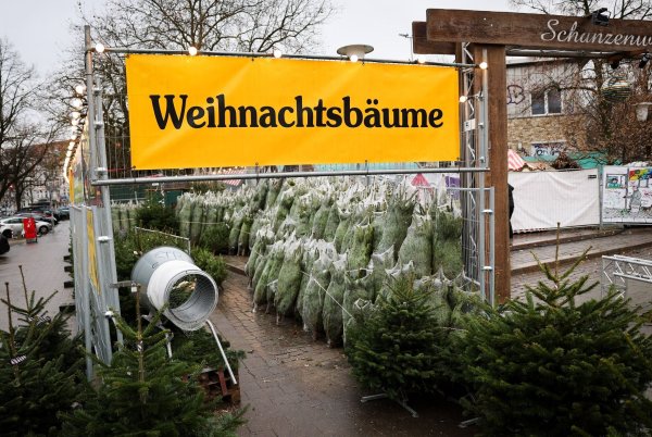 Weihnachtsbäume haben in Deutschland eigentlich immer Nadeln. (Archivbild) - © Christian Charisius/dpa