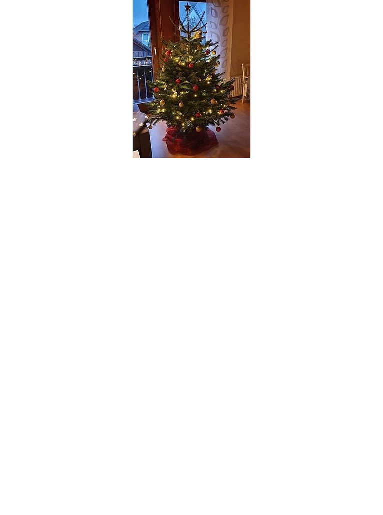 Weihnachtsbäume in Lippe