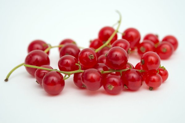 Johannisbeeren - © Foto: Andrea Warnecke