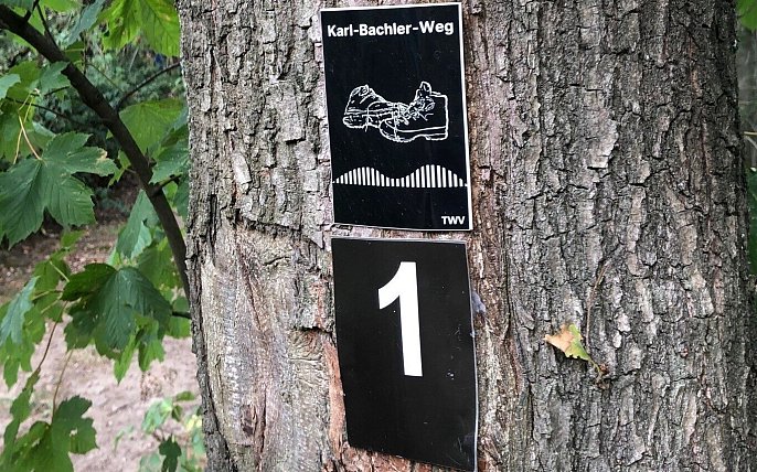 Bild zu Auf Rundwanderwegen den Salzufler Stadtwald erkunden