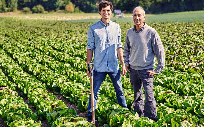 Bild zu OWL-Landwirte nutzen alte Anbauweise gegen Überschwemmungen und Dürre