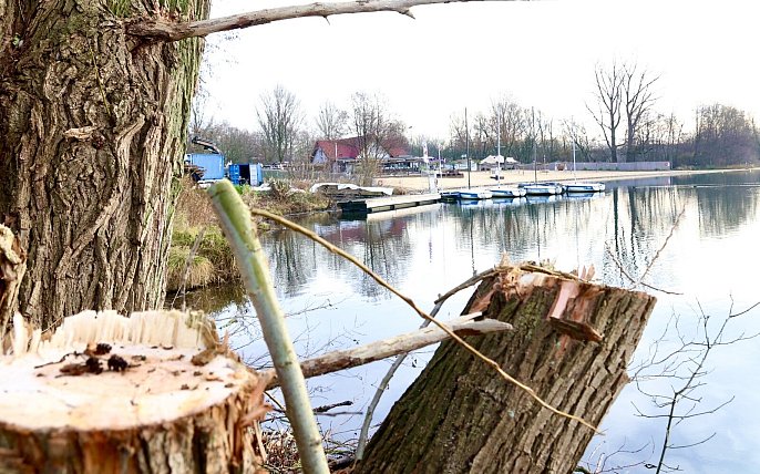 Bild zu Der Salitos Beach am Paderborner Lippesee wird gr&ouml;&szlig;er &ndash; gibt es bald mehr Strand?
