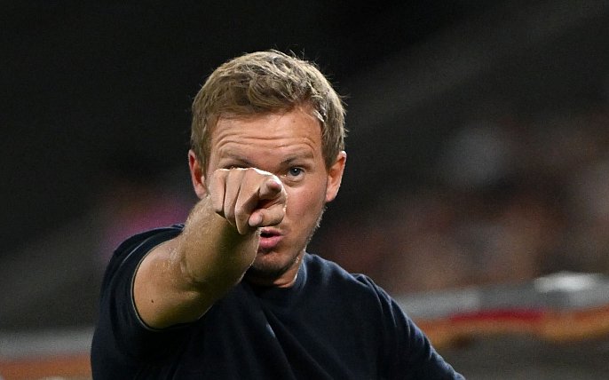 Bild zu Applaus und Pfiffe: Nagelsmann und die «Hyänen im Busch»