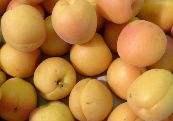Gelbe Aprikosen - © Foto: Andrea Warnecke