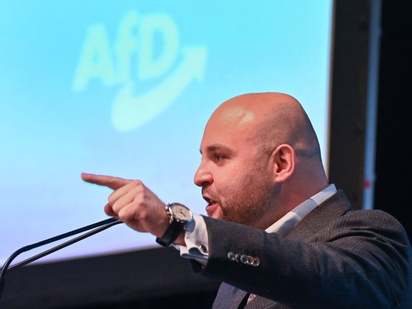 Frohnmaier ist 34 Jahre alt. (Archivfoto) - © Bernd Weißbrod/dpa
