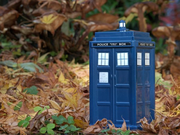 Die "TARDIS" im Miniaturformat. Die fliegende Telefonzelle gibt es unter anderem als Keksdose oder Schlüsselanhänger zu kaufen. - © Pixabay
