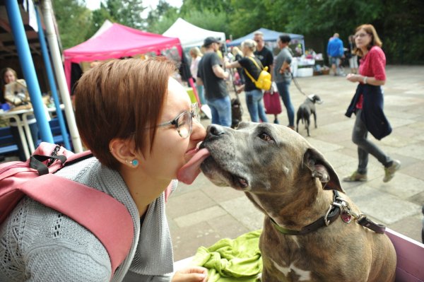 Maike Trick nimmt Küsschen von dem 6-jährigen American Staffordshire Rüden Taylor entgegen (Das war seine Aufgabe bei dem Fest. Gegen eine kleine Spende) - © Nicole Ellerbrake