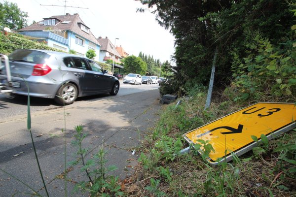 Umgekippt: Wer den Umleitungsschildern in die Innenstadt folgt, hat derzeit schlechte Karten. An der Einmündung Werler/Schießhofstraße liegt das Schild im Gebüsch. - © Jens Rademacher