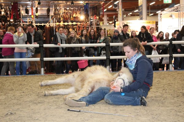 Annika Markgraf mit „Joschi" auf der Horsica 2017. - © Marlen Grote