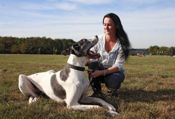 Im Grünen: Sandra Hillebrand streichelt ihre Dogge „Amy" im Park am Detmolder Flugplatz. Bei diesem Ausflug hat sie ihren Hund immer an der Leine, da andere (nicht angeleinte) Hunde und Menschen in der Nähe sind. - © Vera Gerstendorf-Welle